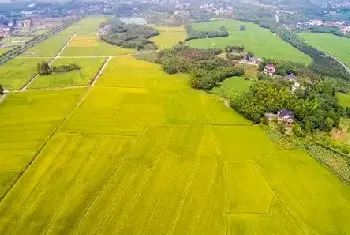 自建房教程 | lg是几楼