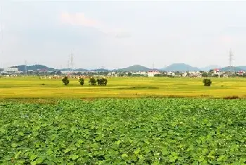 自建房学堂 | 建房怎么隐藏外墙水泥柱？这些建房设计风格值得考虑