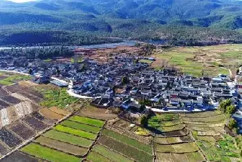 自建房学堂 | 桂花树风水禁忌，一起来看看吧