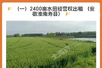 自建房百科 | 安徽超150宗优质土地出租！水田、果园、农家庭院、林地等！