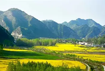 自建房资料 | 农村宅基地确权新政策:这些状况下儿女就得不到宅基地了!