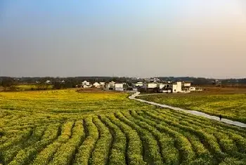 自建房 | 坐东朝西的房子吉位在哪？这些细节不要忽略