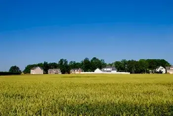 自建房知识 | ​2019年女性户籍新政策，出嫁女可以分户也可申请宅基地了！