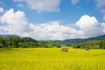 自建房科普 | ​选墓地三大忌讳大家一定要注意，尽量避免！