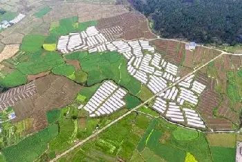 自建房资料 | 铺地砖第一块先铺那比较好？