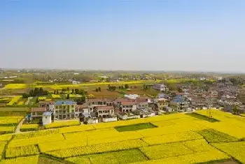 城市自建房 | 压花混凝土路面工艺流程是怎样的？