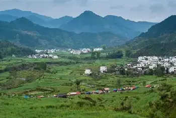 城市自建房 | 住宅有柿子树风水好吗？种风水树有哪些讲究？