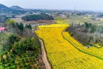 自建房资料 | 长久不住人的房子要住人怎么办？三个步骤让你安全入住