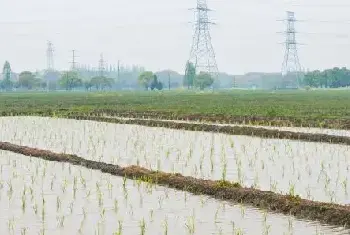 自建房指南 | 耕地红线指的是什么？永久基本农田保护红线政策是怎样的？