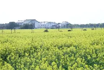 自建房学堂 | 地梁和地圈梁的区别以及作用，看完你就懂了