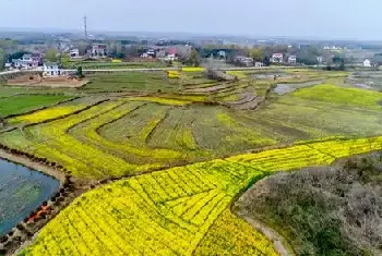 自建房资料 | 杭州二手房限购吗