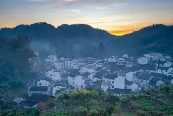 自建房教程 | 农村大门旁边种芒树好吗?芒果树有什么寓意