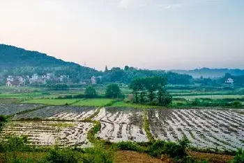 自建房学堂 | 祖坟风水好不好怎么看？这四种情况对后代极其不利！