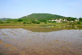 自建房百科 | 住宅楼化粪池原理介绍，勿错过经典内容