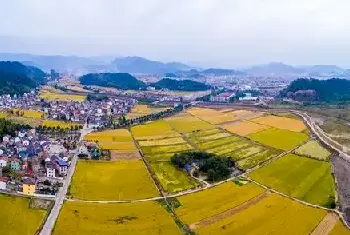 城市自建房 | 风水师告诉你农村后院哪四个方位不适合建房