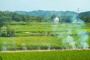 城市自建房 | 农村还在这样盖房的，很不健康！