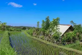 自建房百科 | 为什么都买顶吸油烟机