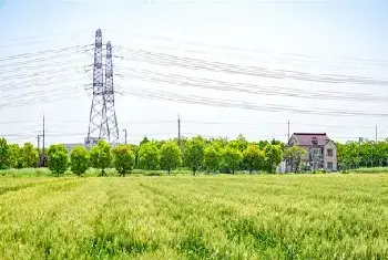 自建房百科 | 樱花树种植在庭院风水好吗？庭院种樱花树风水上要注意什么？