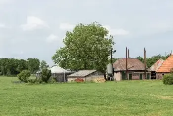 自建房资料 | 农村这几种违建不仅不拆，还有补偿？快来看你符不符合条件！