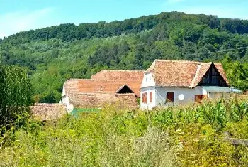 自建房指南 | 甘肃钢结构住宅装配式技术会议将对装配式建筑发展起到推动作用！