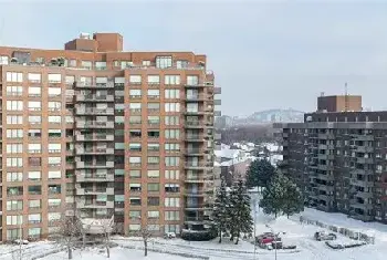 自建房 | 葛花树种院子里好不好？细述院子里适合种什么树