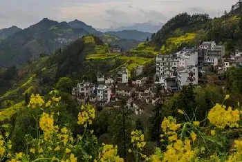 农村自建房 | 住在医院附近好不好？住在医院附近对人有哪些不利？