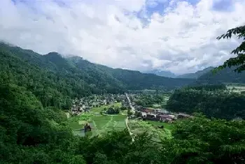 自建房资料 | 红豆杉种在院子里什么地方好？院子里种这些植物比较吉利