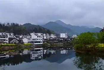 自建房知识 | 家里可以摆仿真绿植吗？仿真绿植影响家居风水吗？