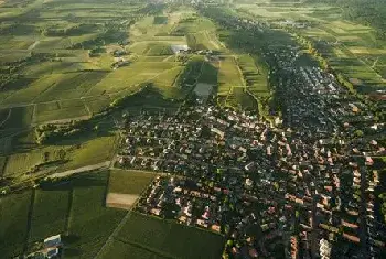 自建房常识 | 加湿器里加什么可以消毒杀菌