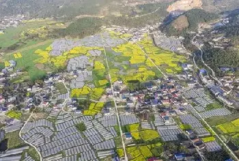 自建房指南 | 农村建房子的风水讲究，犯了这三大禁忌让你生活艰难