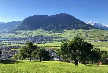 自建房百科 | 农村自建房电路很重要,敷衍了事惹大祸,快学会判断电路好坏