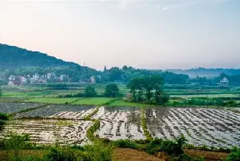 自建房资料 | 如何看祖坟风水？看坟地的绝招有哪些？