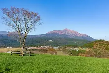 自建房知识 | 低保户住院报销流程，别担心都总结在此了