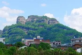 自建房知识 | 门前种茶花好不好？家里种山茶花有哪些禁忌？